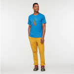 Llama Stripes T-Shirt - Men's
