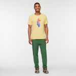 Llama Stripes T-Shirt - Men's